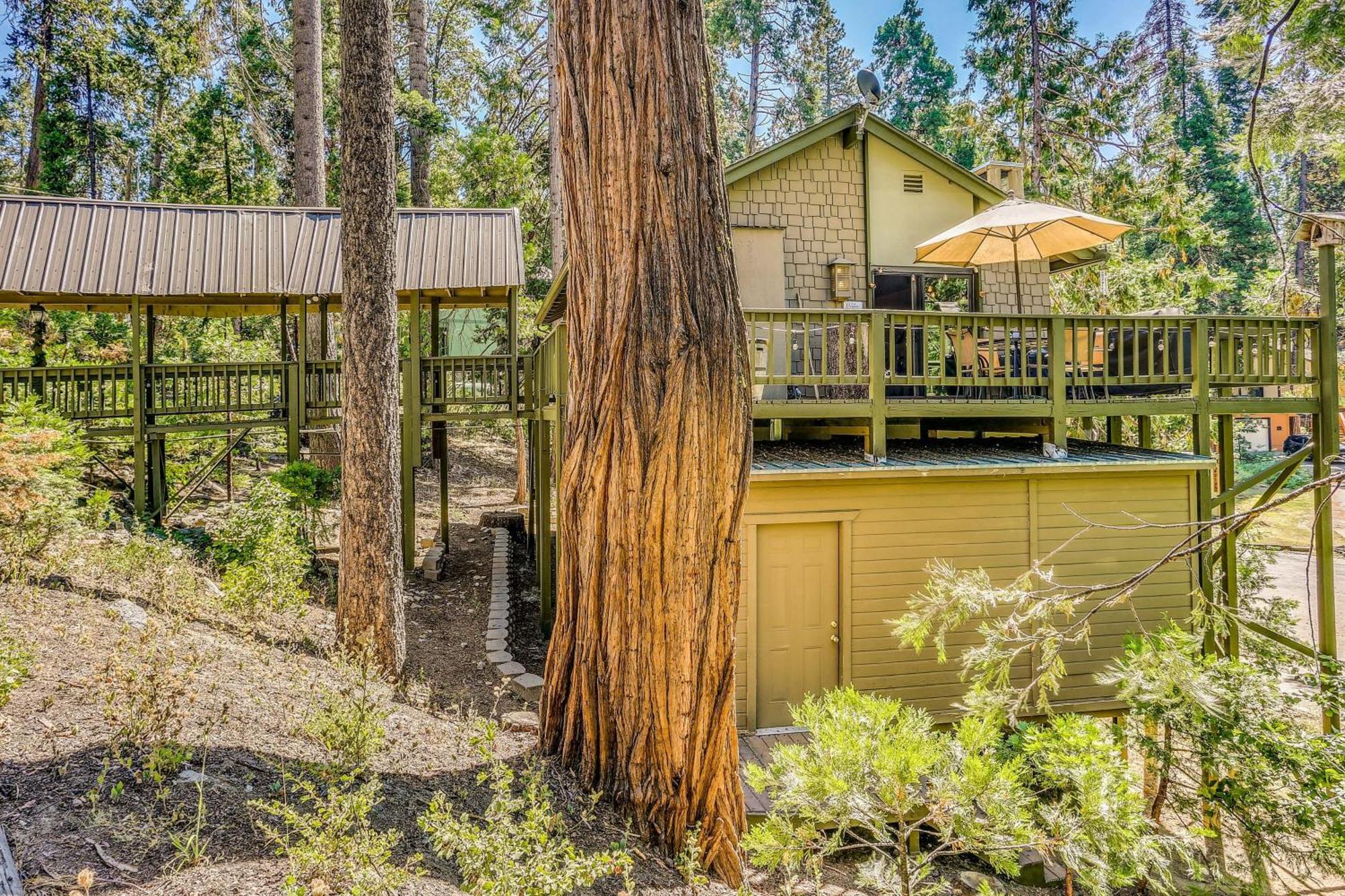 Cozy Bears Hideaway Cabin About 3 Mi To Shaver Lake! Exterior photo
